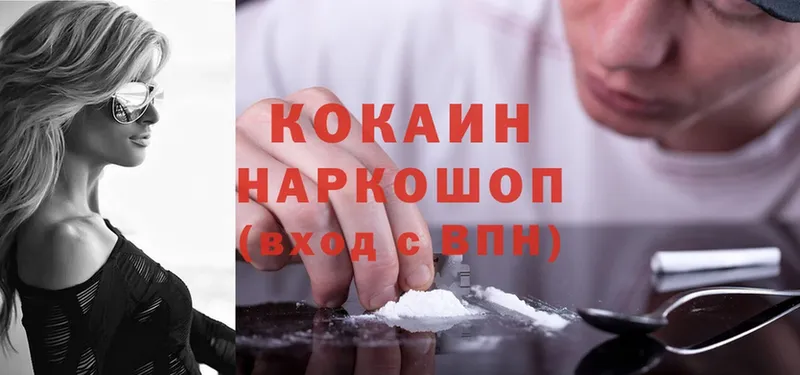 купить наркоту  Заречный  мега tor  COCAIN Fish Scale 